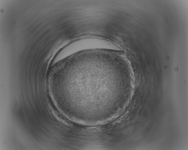 X0000073750050200608171341