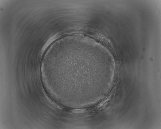 X0000073750051200608171341