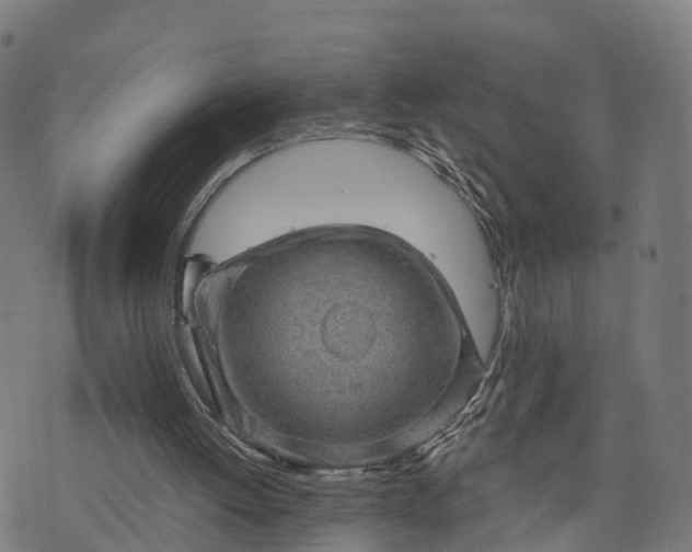 X0000073750052200608171341