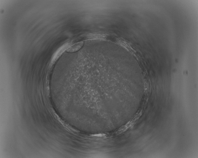 X0000073750053200608171341