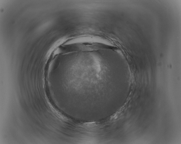 X0000073750054200608171341