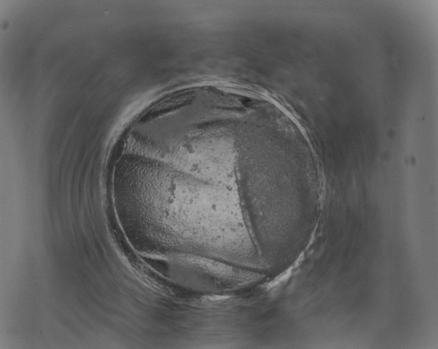 X0000073750055200608171341