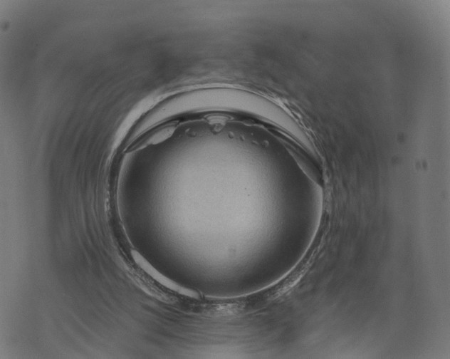 X0000073750056200608171341