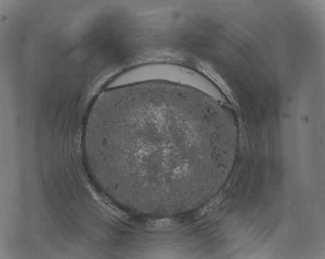 X0000073750058200608171341