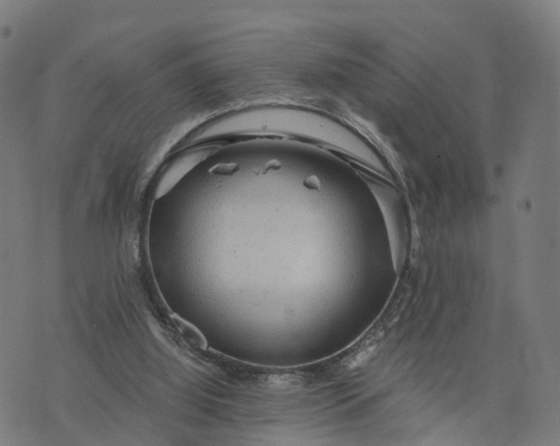 X0000073750060200608171342