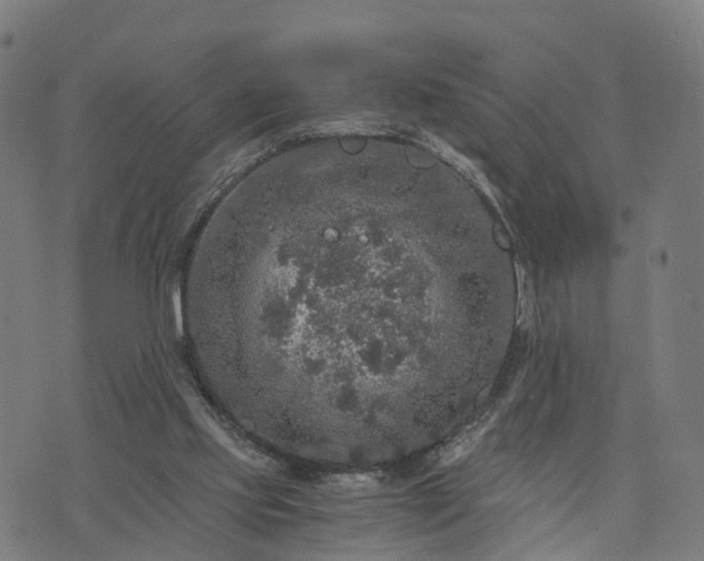 X0000073750061200608171342