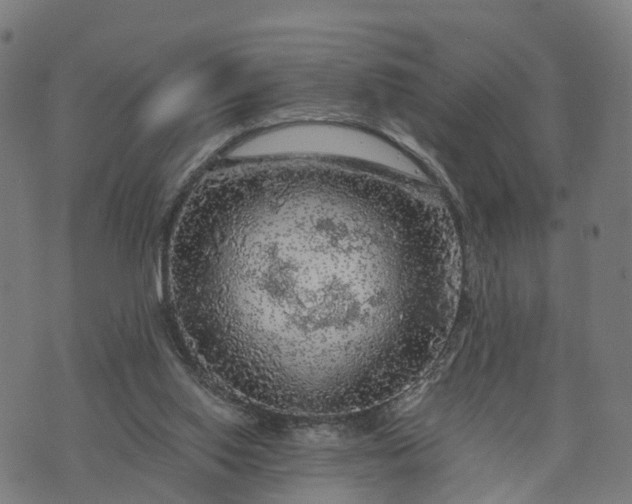 X0000073750062200608171342