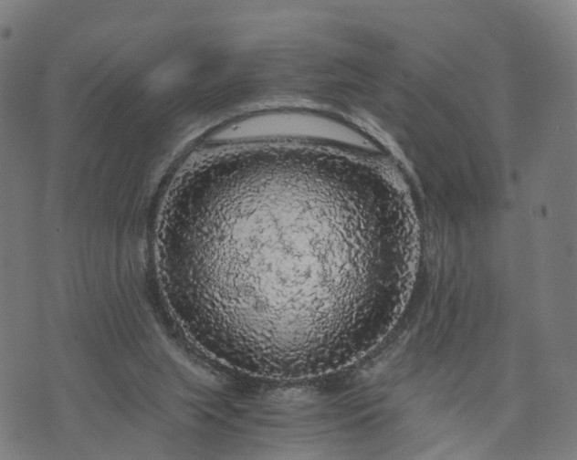 X0000073750063200608171342