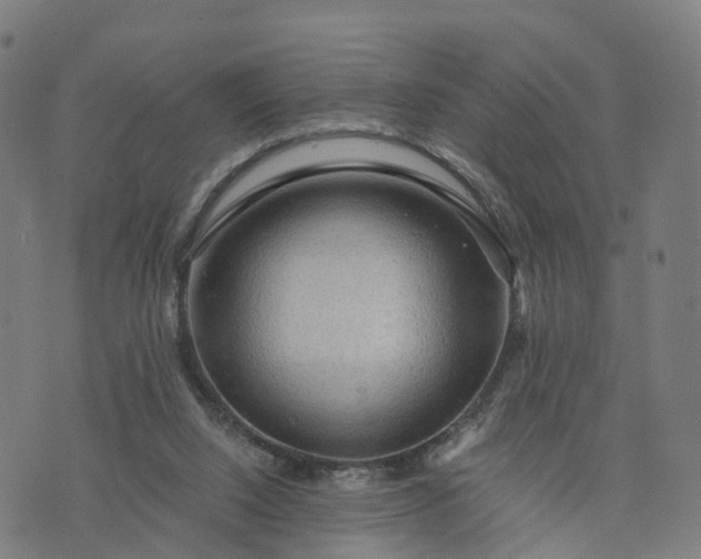 X0000073750064200608171342