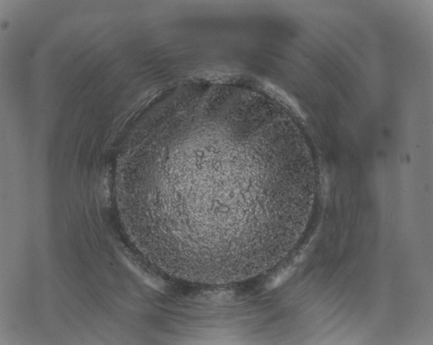 X0000073750065200608171342