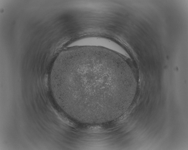 X0000073750066200608171342