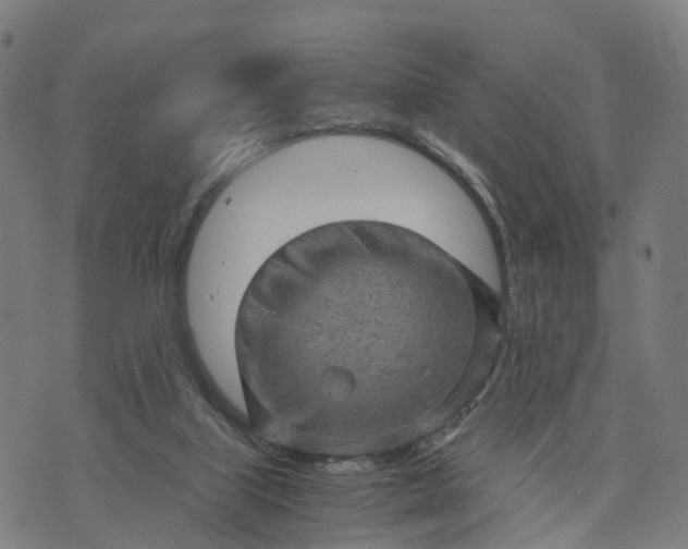 X0000073750067200608171342