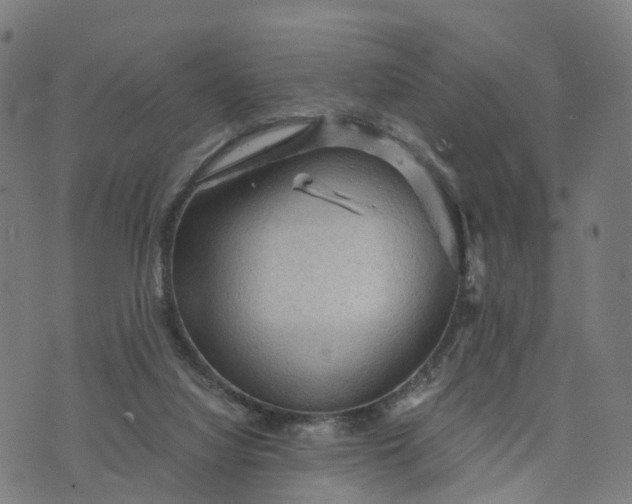 X0000073750068200608171342