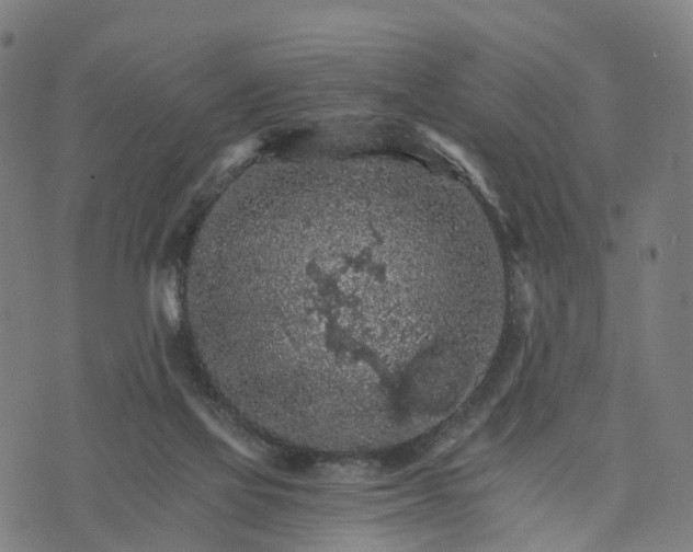 X0000073750069200608171342