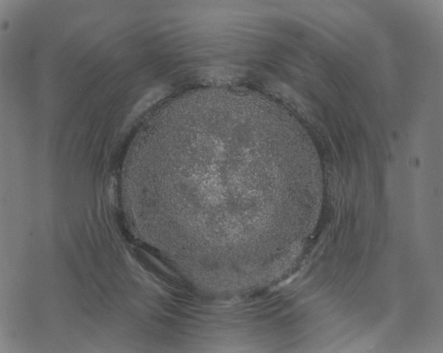 X0000073750071200608171342