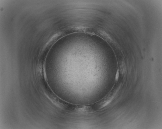 X0000073750072200608171342