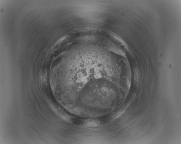 X0000073750073200608171342