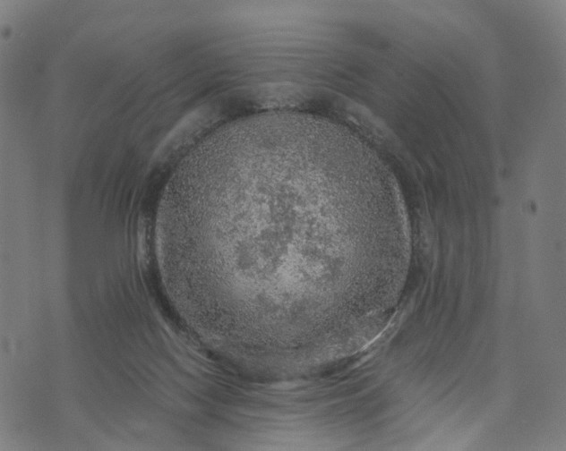 X0000073750074200608171342