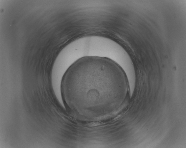 X0000073750075200608171342