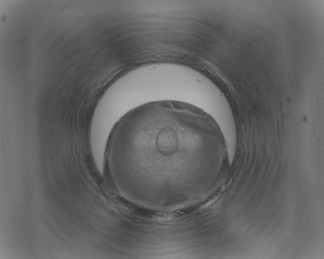 X0000073750076200608171342