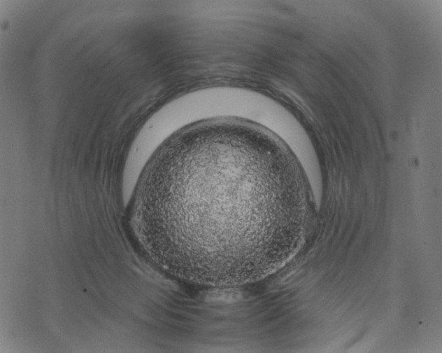 X0000073750077200608171342