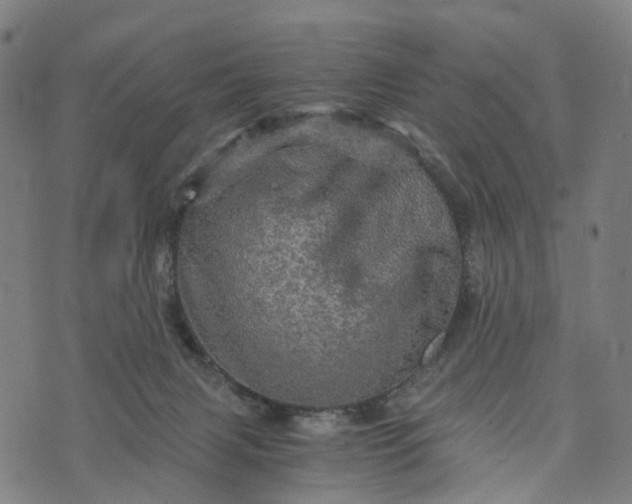 X0000073750079200608171342