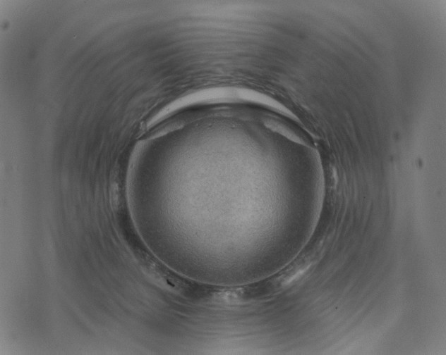 X0000073750080200608171342