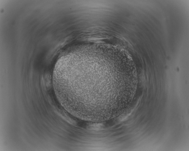 X0000073750081200608171342