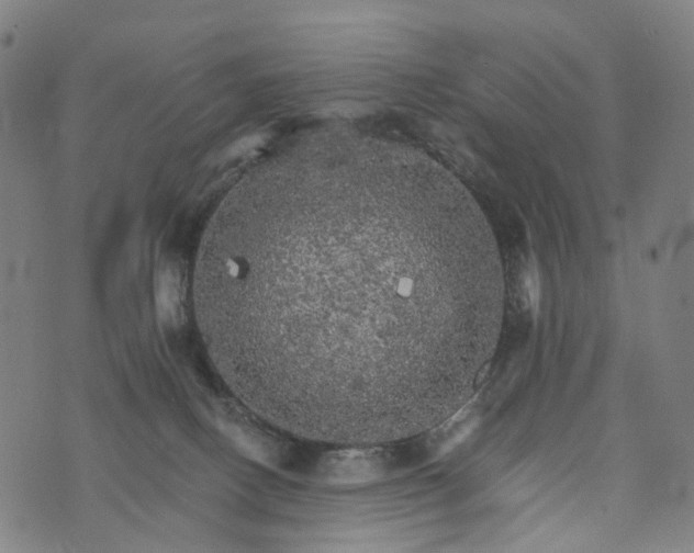 X0000073750082200608171342