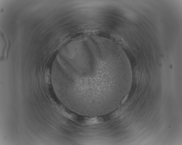 X0000073750083200608171342