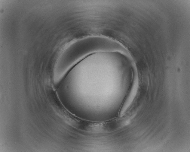 X0000073750084200608171342