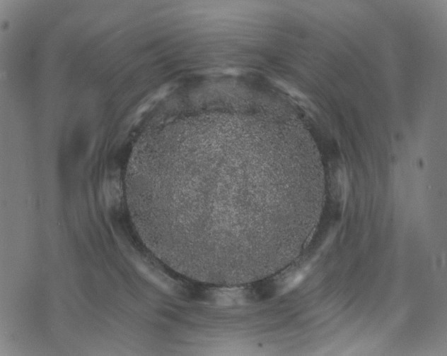 X0000073750085200608171342