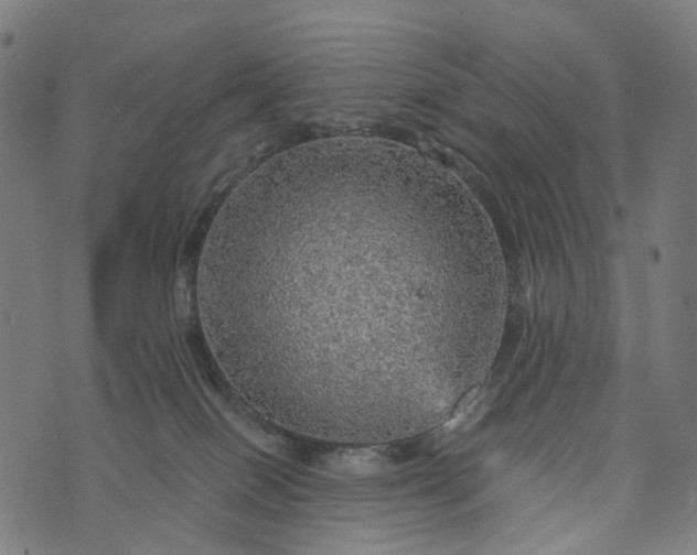 X0000073750086200608171342