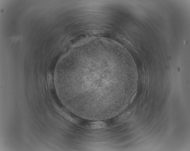 X0000073750087200608171342