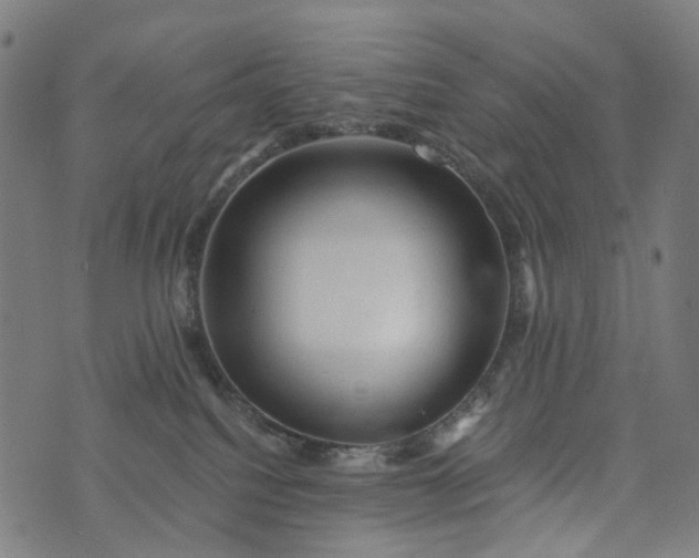 X0000073750088200608171342