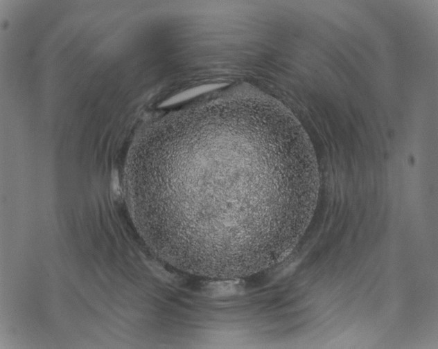 X0000073750089200608171342