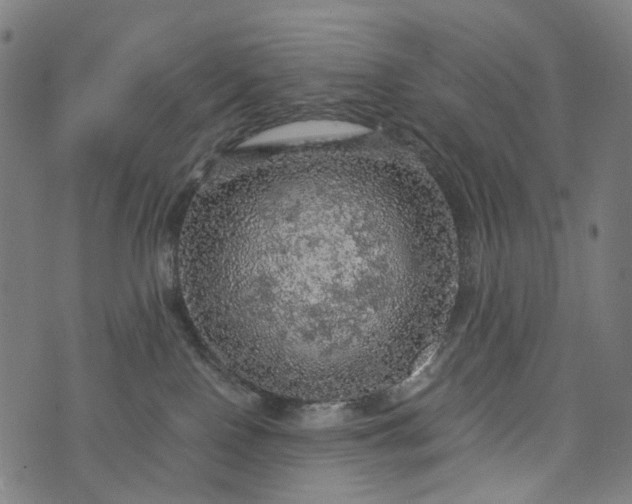 X0000073750090200608171342