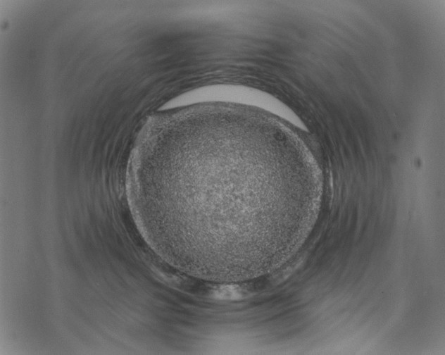 X0000073750091200608171342