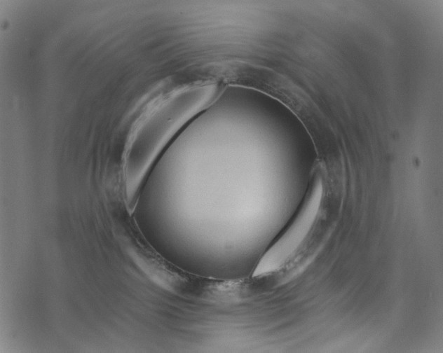 X0000073750092200608171342