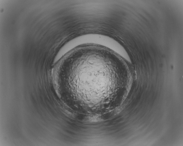 X0000073750093200608171342