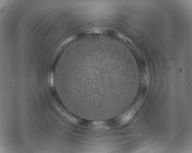 X0000073750095200608171342