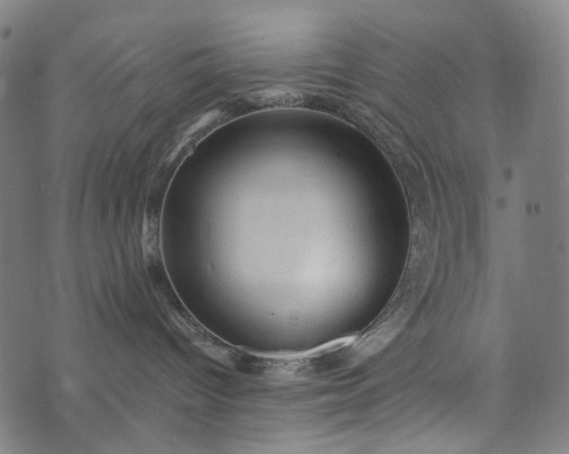 X0000073750096200608171342