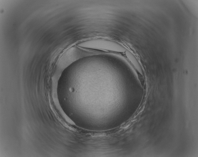 X0000073750097200608171341