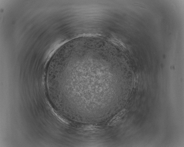 X0000073750098200608171341