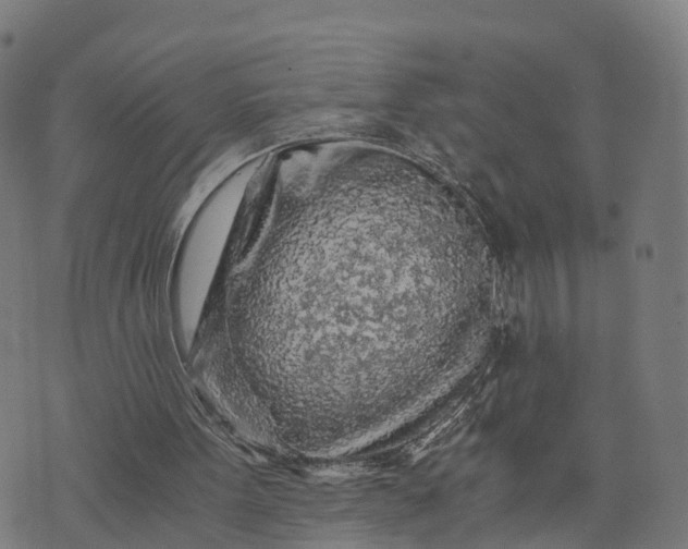 X0000073750099200608171341