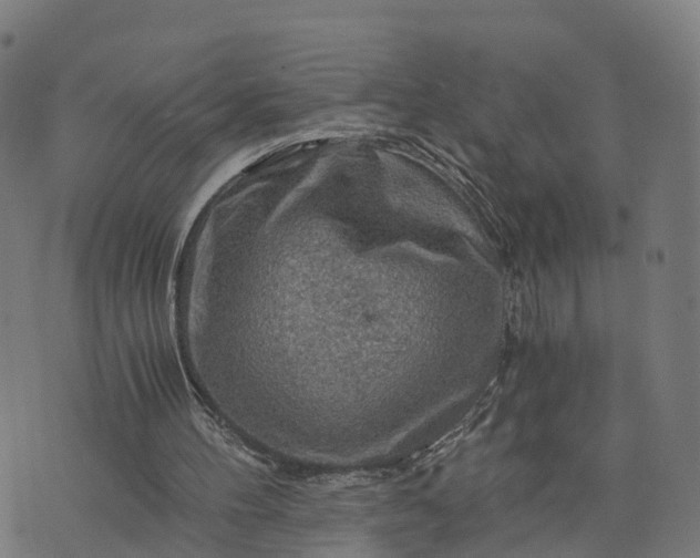 X0000073750100200608171341