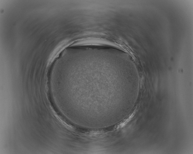 X0000073750101200608171341