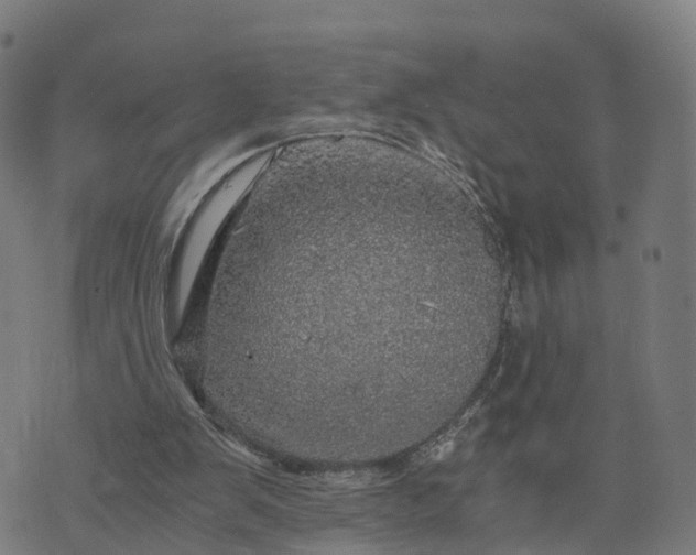 X0000073750103200608171341