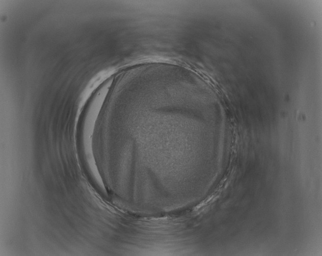 X0000073750104200608171341