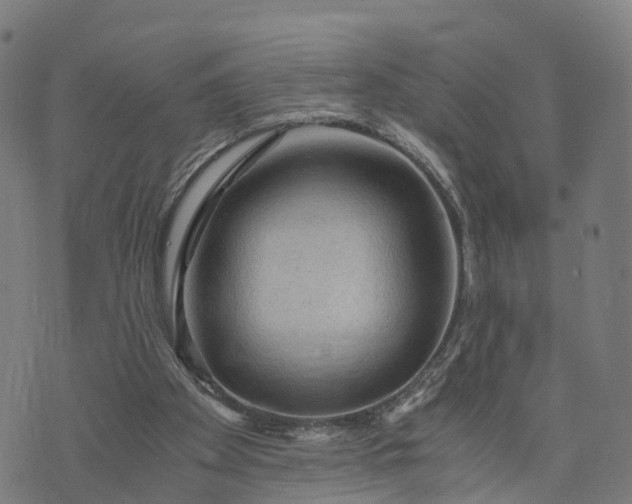 X0000073750105200608171341